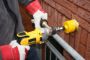 Afbeelding - https-www-ez-catalog-nl-Asset-39eddaae7e694609879093415bfa4fe4-ImageFullSize-D21570K-5-jpg
